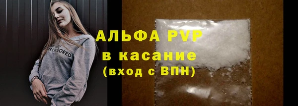 прущий лед Богданович