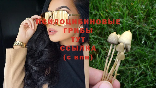 прущий лед Богданович